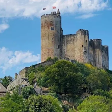 Gite De La Pique A Casa de Férias Najac
